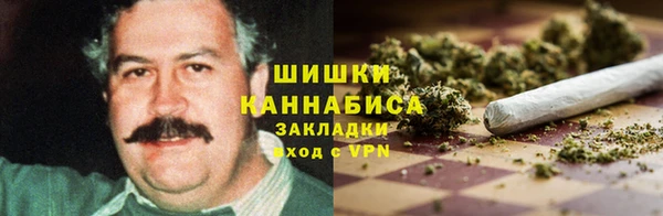 шишки Куйбышев