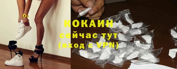 шишки Куйбышев
