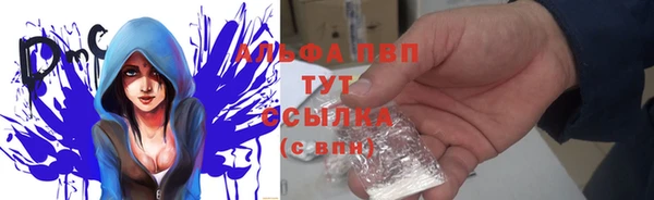 твердый Ладушкин