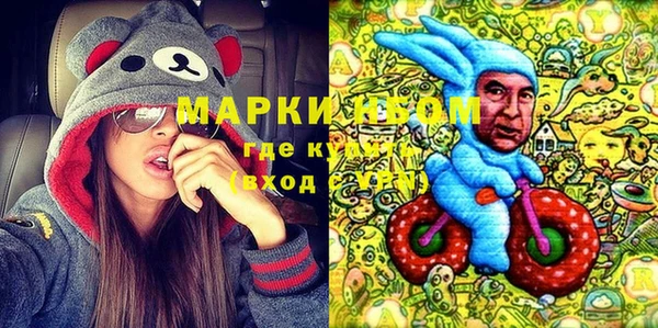 шишки Куйбышев