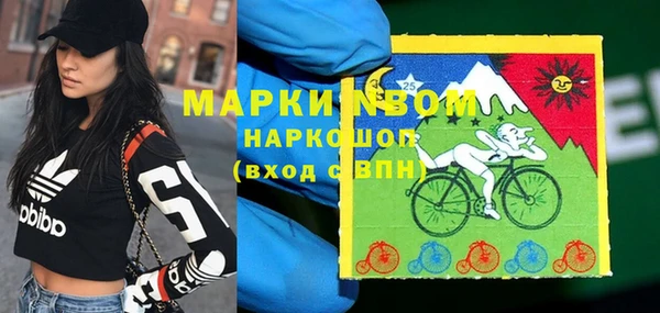 шишки Куйбышев