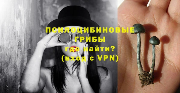 шишки Куйбышев