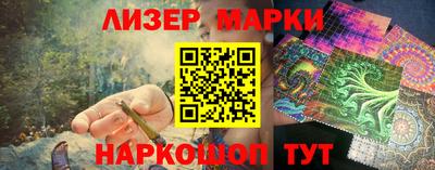 сатива Кингисепп