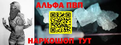 сатива Кингисепп