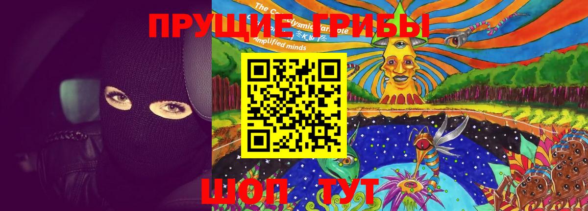 Псилоцибиновые грибы прущие грибы  Вход с VPN  Тольятти 