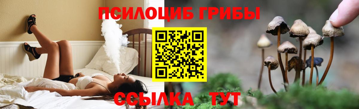 Псилоцибиновые грибы прущие грибы  Тольятти 