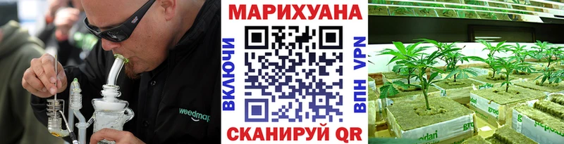 Канабис сатива Тольятти